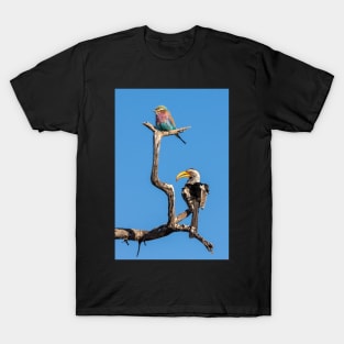 Lilac Breasted Roller and Yellow Billed Hornbill T-Shirt